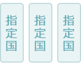 指定国